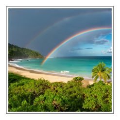 Rainbows End - olejek zapachowy