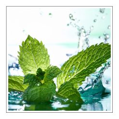 Mint - olejek zapachowy