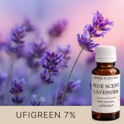 Lawenda w rozkwicie na różowym tle — AF70 5317