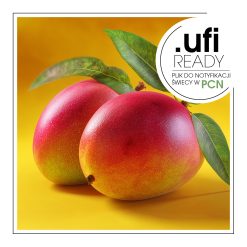 Dwa mango na żółtym tle