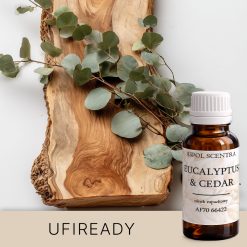 Gałązka eukaliptusa na chropowatej drewnianej płycie, umieszczona na jednolitym tle.