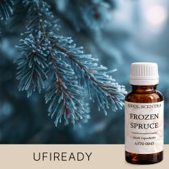 Ośnieżona gałązka świerku w zbliżeniu zimowym.