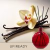 Gotowa mieszanka do dyfuzorów UFIREADY - Madagascar Vanilla