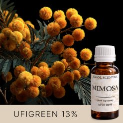 Gałąź z liśćmi i żółtymi kwiatami.