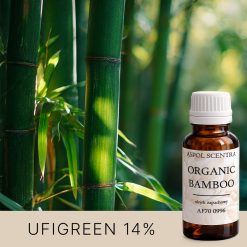 Zielone pędy bambusa w naturalnym świetle w lesie.