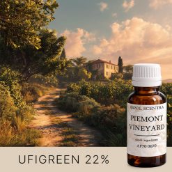 Winnica o zachodzie słońca z kamiennym domem na wzgórzu, ścieżka wśród rzędów winorośli, AF70 0670