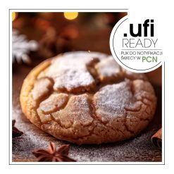 Zbliżenie na pogniecione ciasteczko posypane cukrem pudrem, położone na drewnianej powierzchni. - AF70 2244