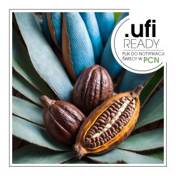 Owoce kakaowca i nasiona ułożone na liściach niebieskiej agawy - AF70 46781